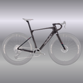 Wilier Rave SLR ID2 Gravel Frameset With F Bar