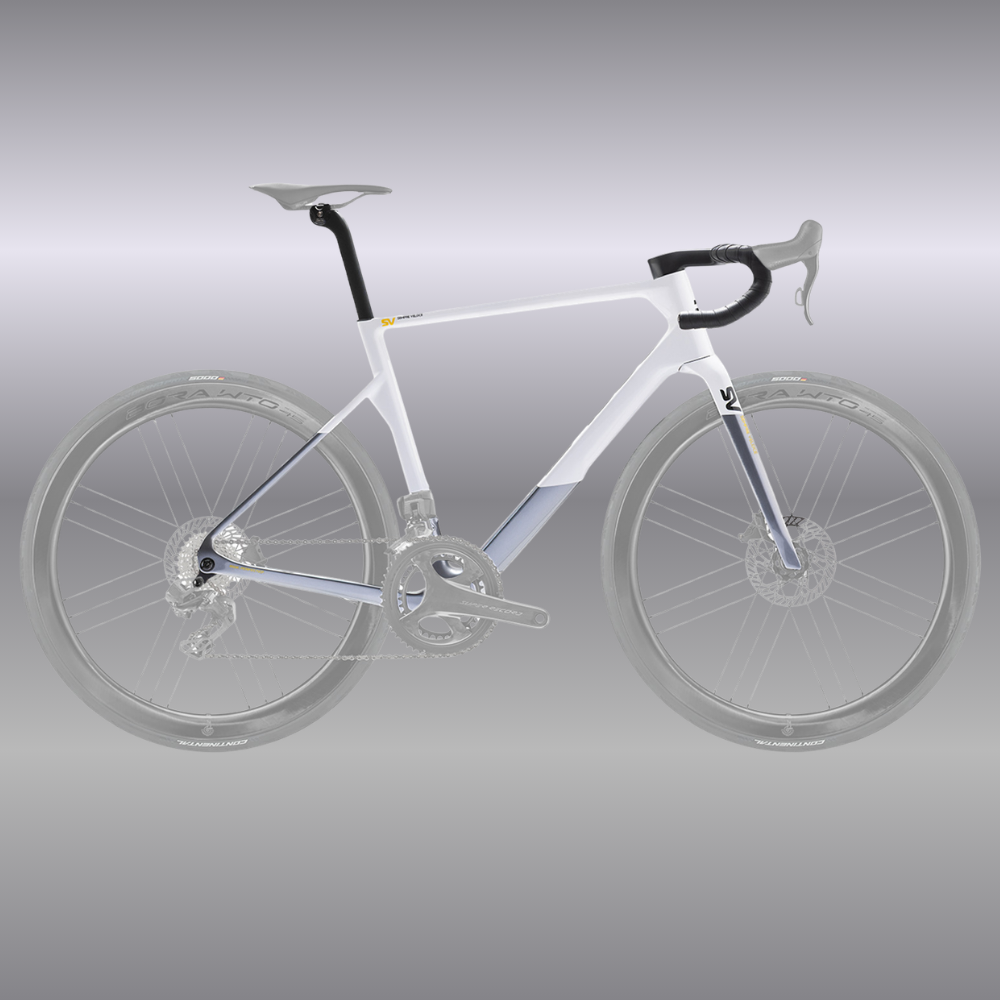 Basso SV Road Frameset