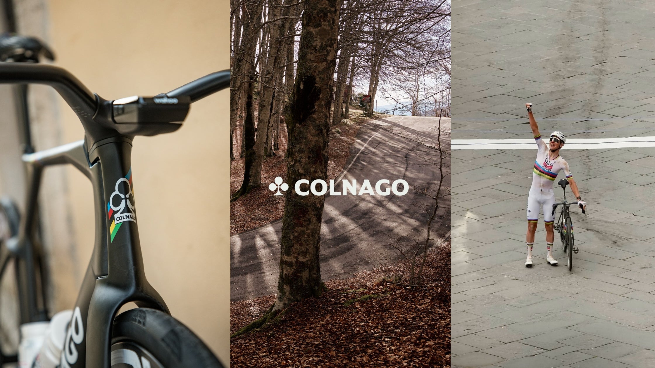 Colnago Bikes Dealer North East UK
